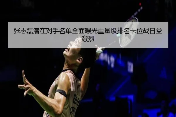 张志磊潜在对手名单全面曝光重量级排名卡位战日益激烈