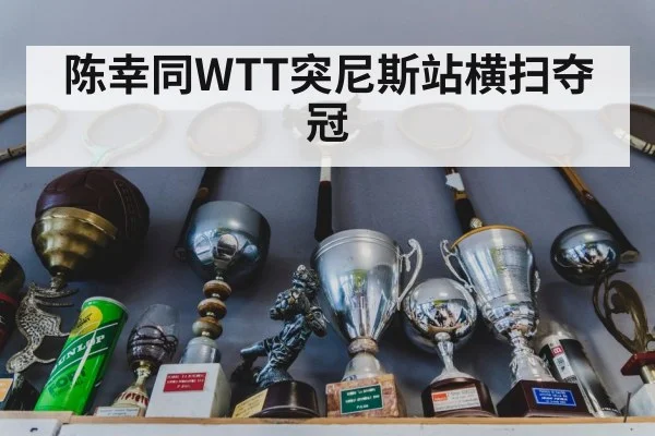陈幸同WTT突尼斯站横扫夺冠