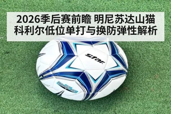 2026季后赛前瞻 明尼苏达山猫科利尔低位单打与换防弹性解析