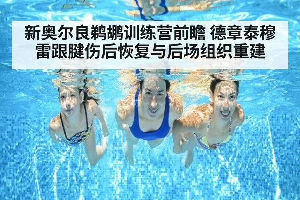 新奥尔良鹈鹕训练营前瞻 德章泰穆雷跟腱伤后恢复与后场组织重建