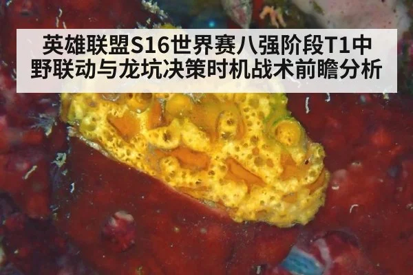 英雄联盟S16世界赛八强阶段T1中野联动与龙坑决策时机战术前瞻分析